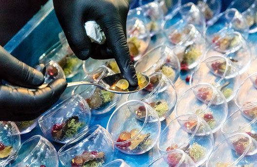 Telecommunications & Digital Infrastructure